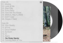 Sylvan Esso - No Rules Sandy [Vinilo]
