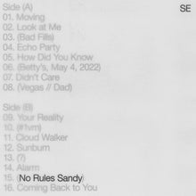 Sylvan Esso - No Rules Sandy [Vinilo]