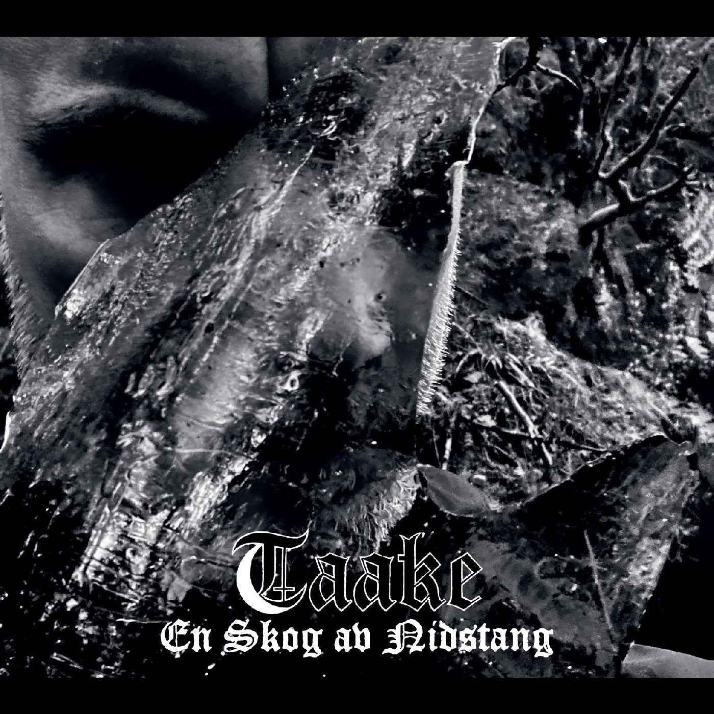 Taake - En Skog Av Nidstang [CD]