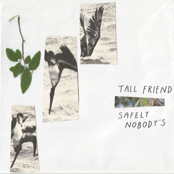 Safely Nobody's [Vinyl] - Paladin Vinyl