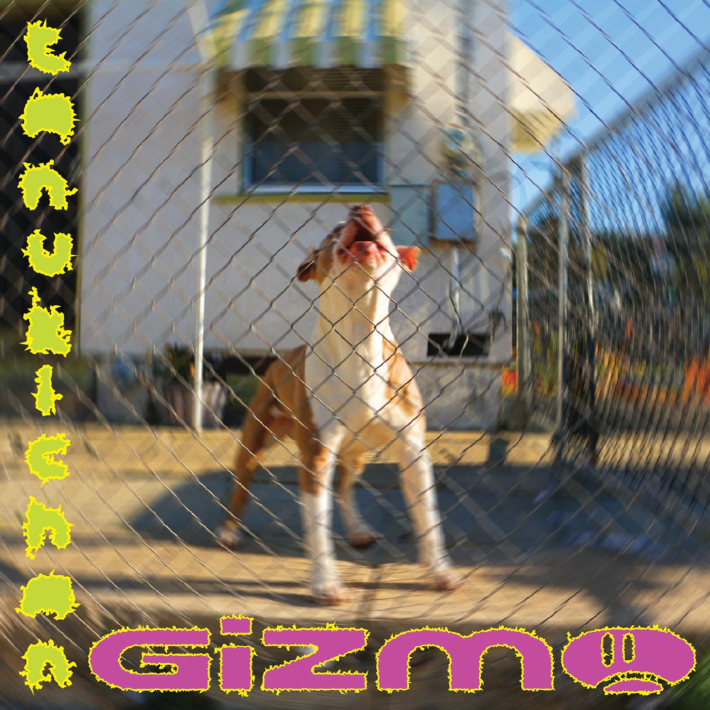 GIZMO [Vinyl] - Paladin Vinyl