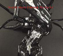 Through The Cortex [CD]