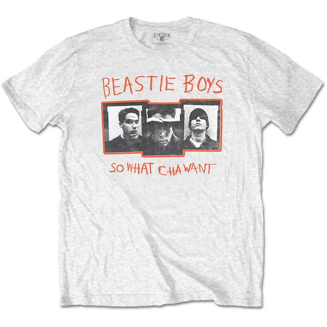 The Beastie Boys - So What Cha Want []