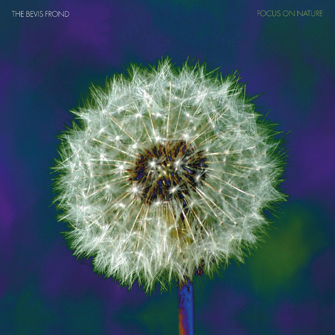 Focus on Nature (PURPLE VINYL) [Vinyl] - Paladin Vinyl
