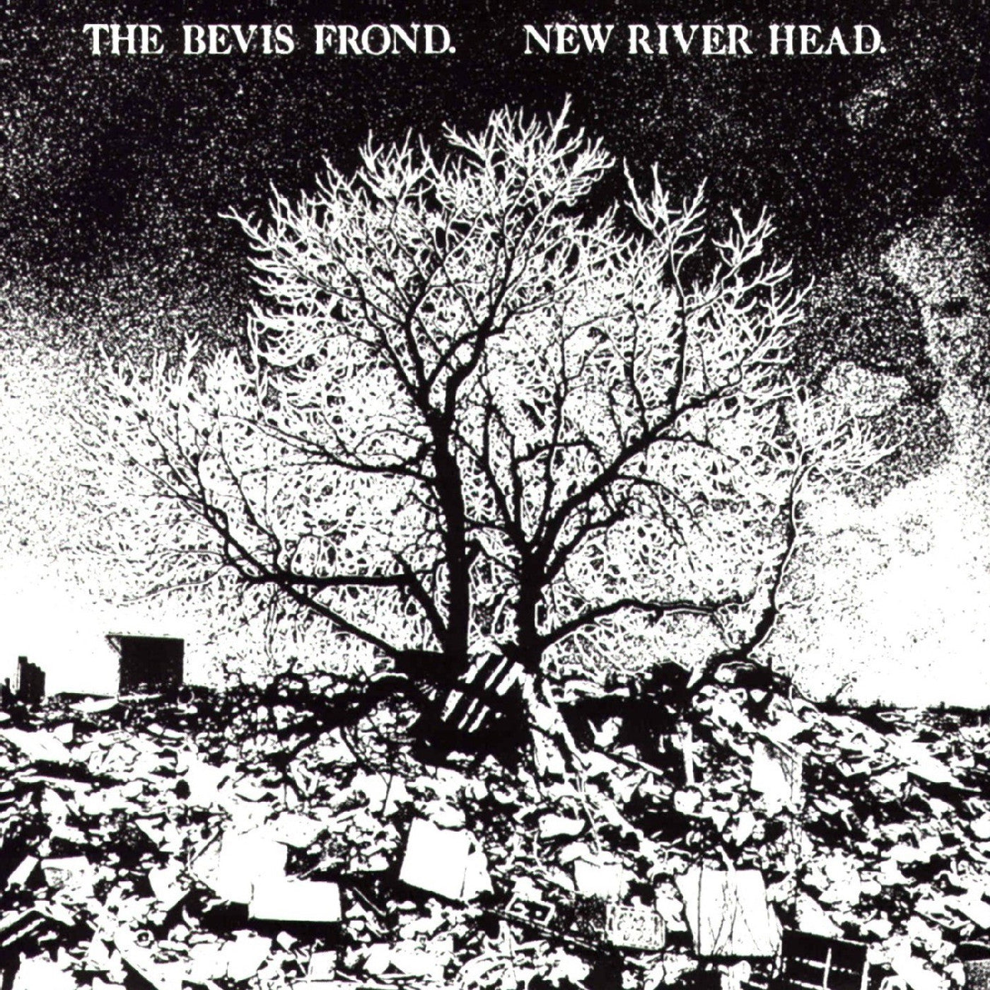 New River Head [Vinyl]