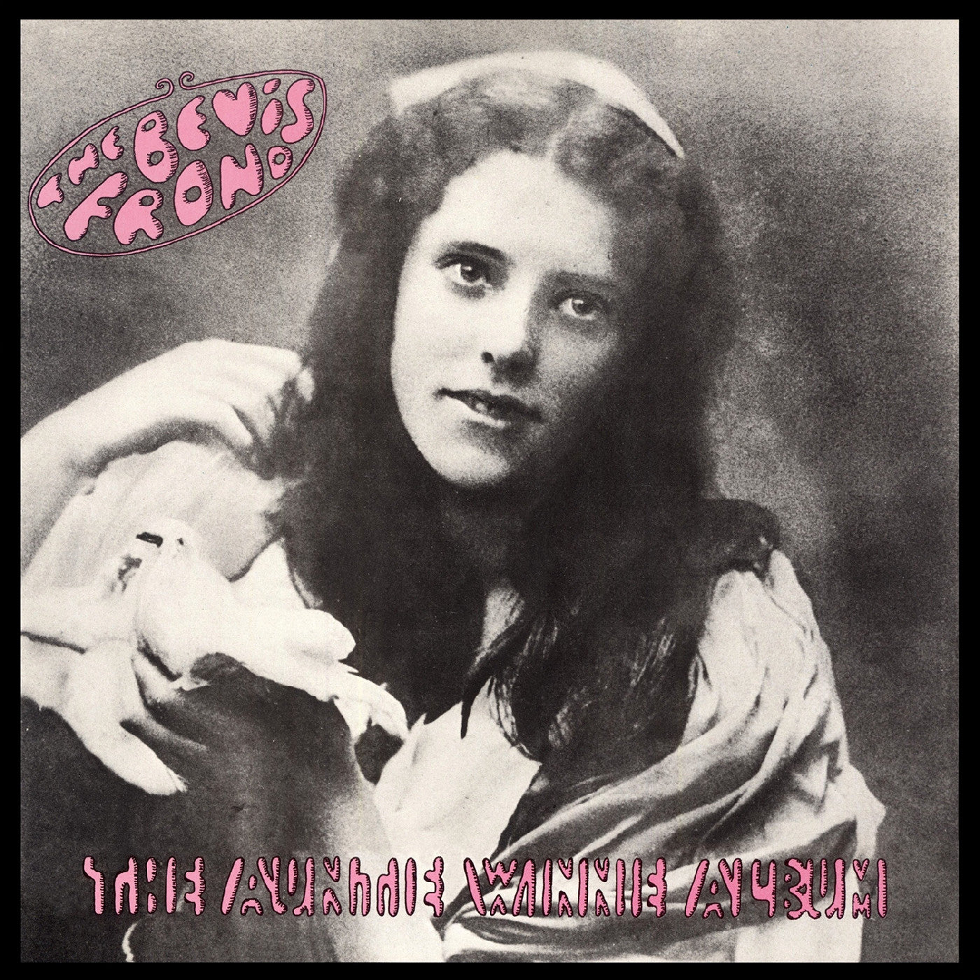 The Auntie Winnie Album (Pink Vinyl) [Vinyl]