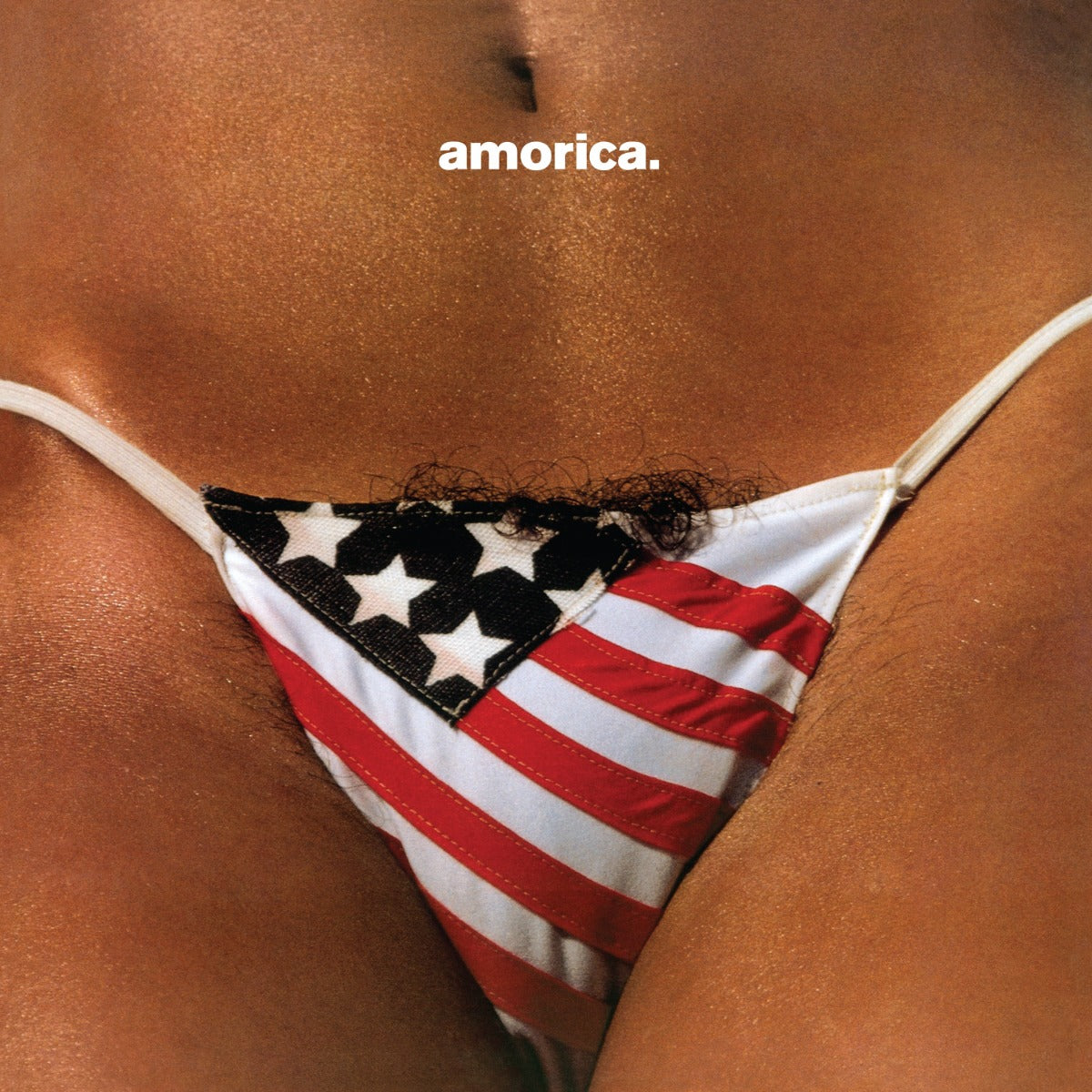 Amorica. [Super Deluxe 180G 5LP] [Vinyl]
