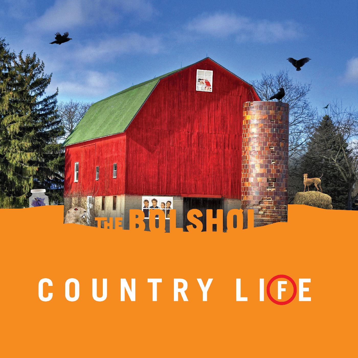 Country Life (GREEN & ORANGE VINYL) [Vinyl]