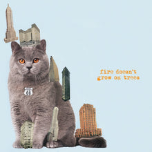 Fire Doesn't Grow On Trees [Vinyl]