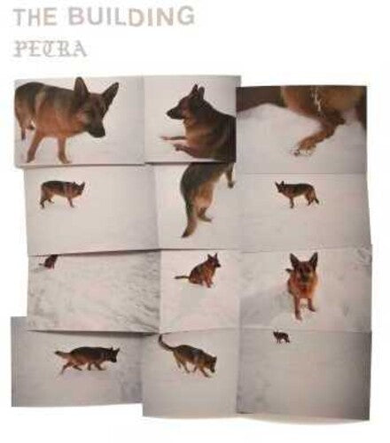 El edificio - Petra [Vinilo]