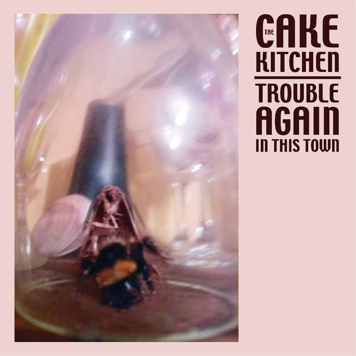 The Cakekitchen - Otra vez hay problemas en esta ciudad [Vinilo]