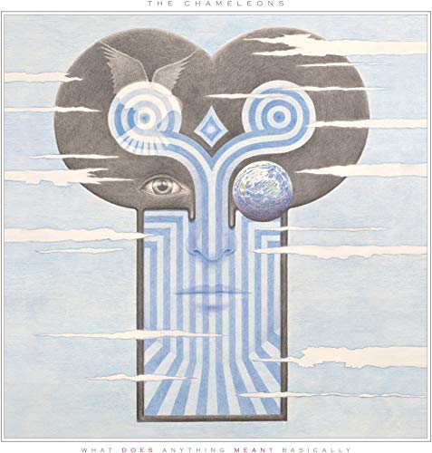 What Does Anything Mean? Basically (Clear Vinyl) [Vinyl]