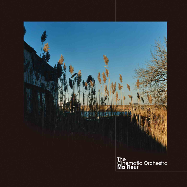 The Cinematic Orchestra - Ma Fleur [Vinyl]