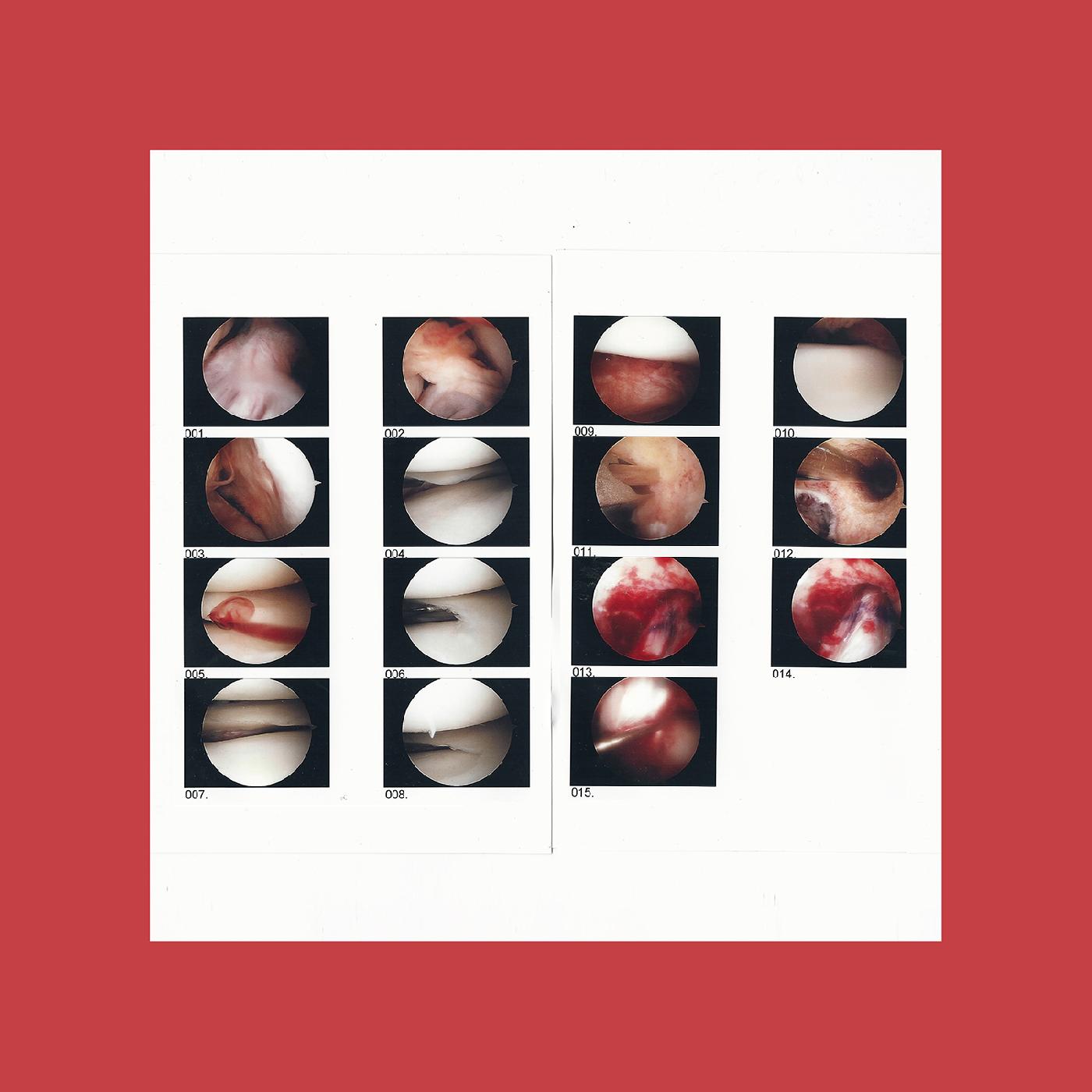 The Cradle - Laughing In My Sleep [Vinyl] - Paladin Vinyl