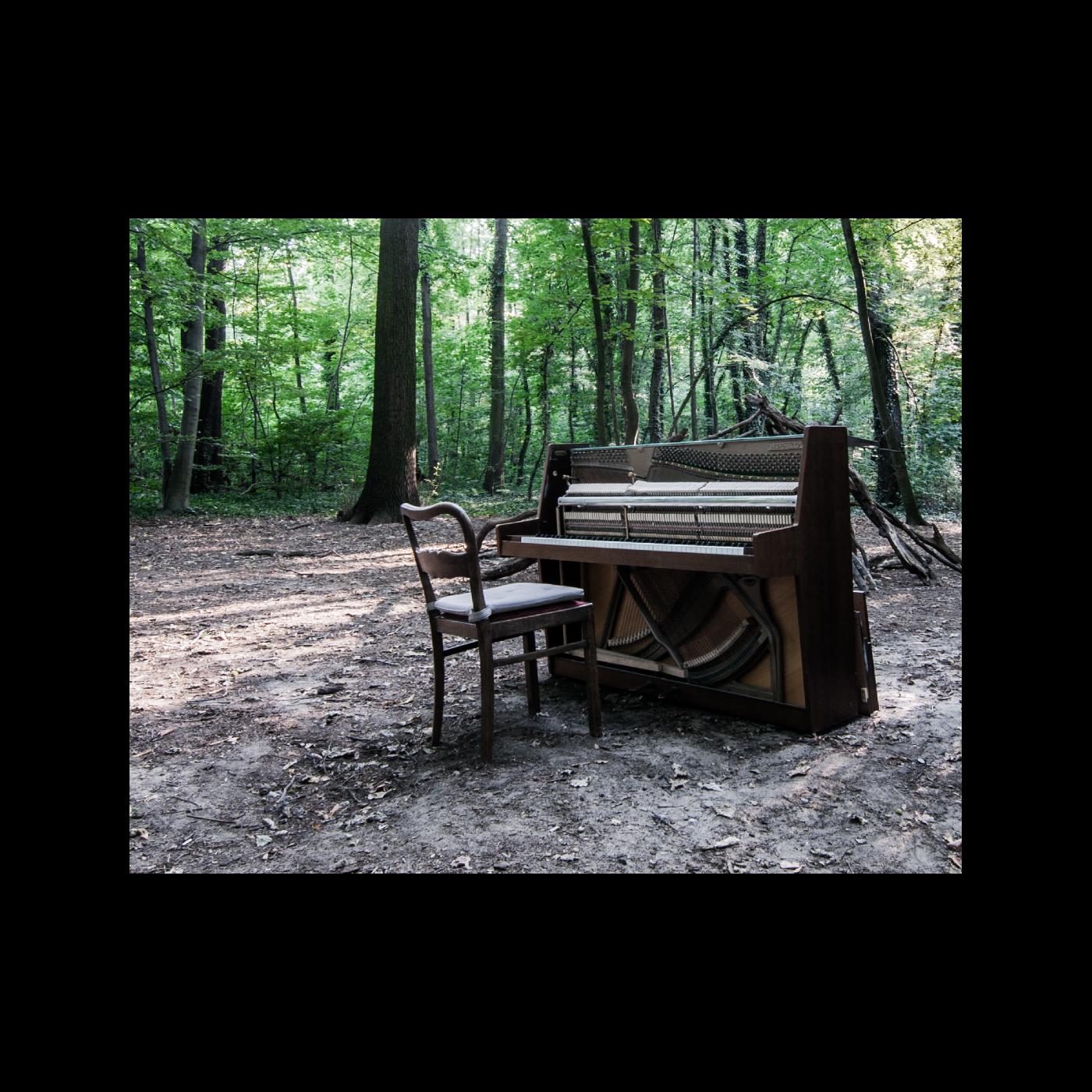 Acoustic II [CD]