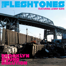 The Fleshtones - Solución de sonido de Brooklyn [CD]
