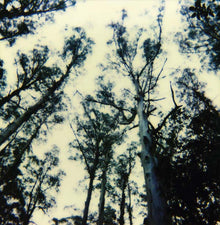 THE FRIGHTENING LIGHTS - The Frightening Lights [Vinyl]