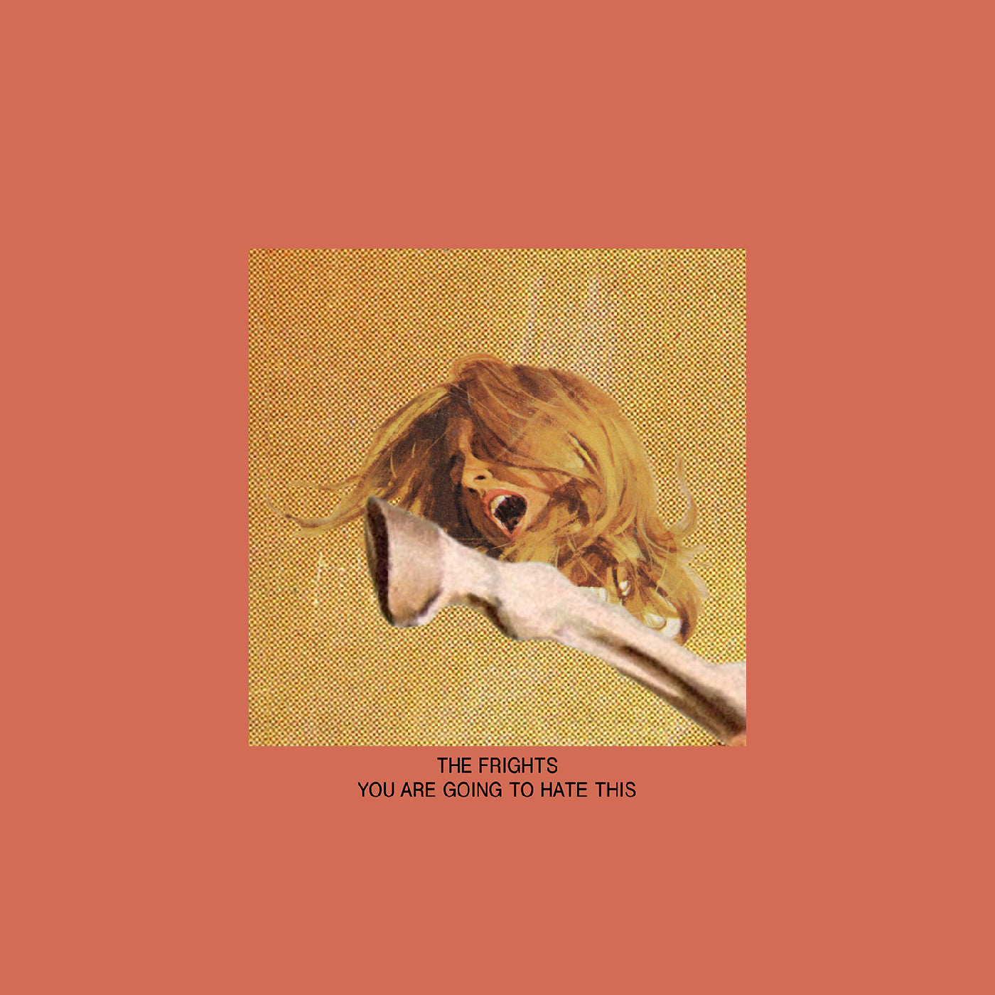 The Frights - You Are Going To Hate This [Vinyl]