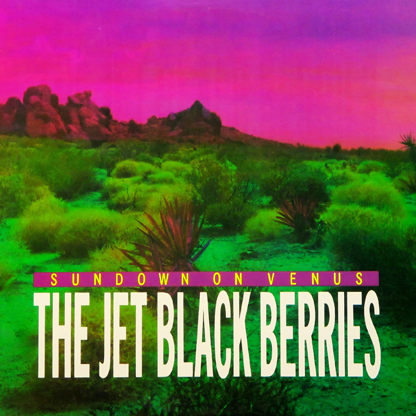 The Jet Black Berries - Sundown On Venus [Definitive Edition] [CD]