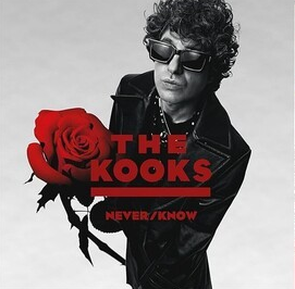 Never/ Know [Vinyl]
