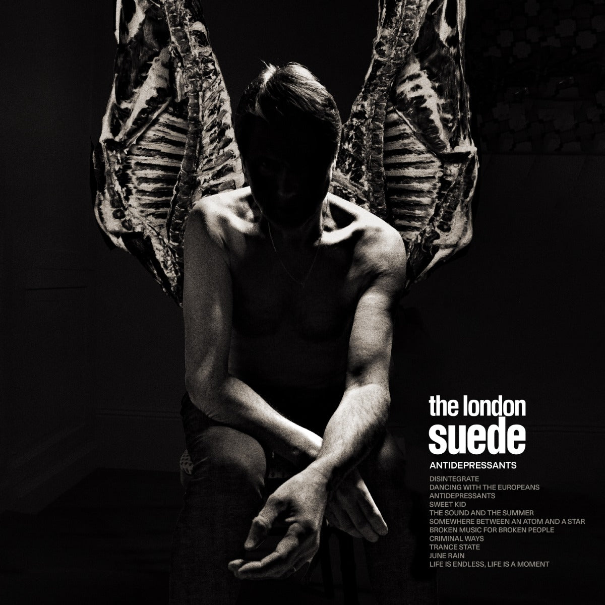 Antidepressants (Lp) [Vinyl]