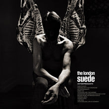 Antidepressants (Lp) [Vinyl]