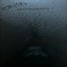 Dark Matter/Dark Energy [Vinyl]
