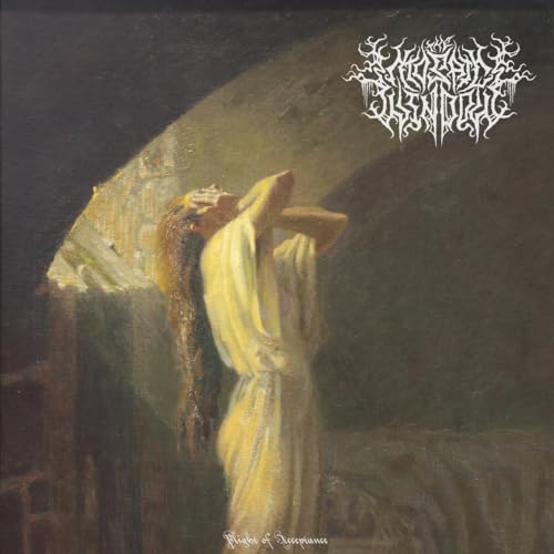La ventana de mosaico - Plight Of Acceptance [LP de color aleatorio] [Vinilo]