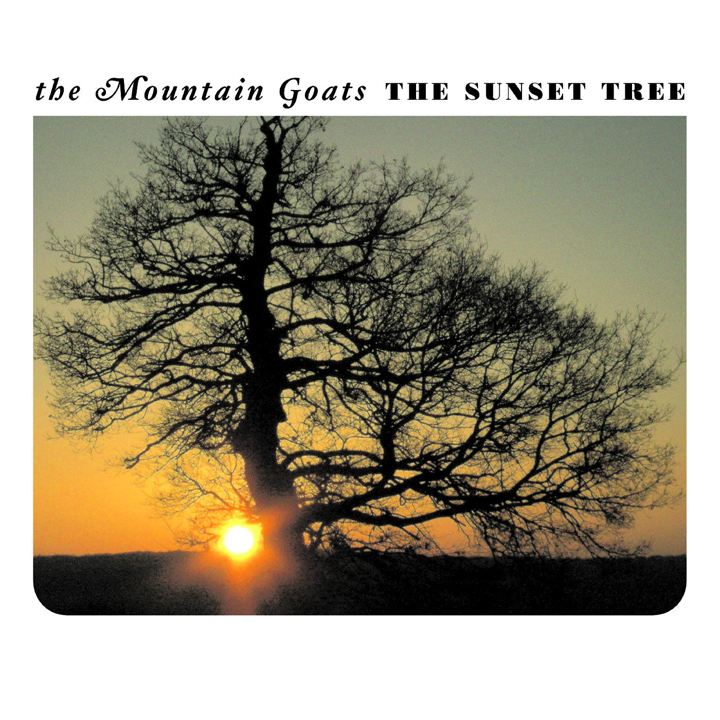 The Sunset Tree 20Th Anniversary Remaster (Apricot Vinyl) [Vinyl]