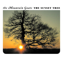 The Sunset Tree 20Th Anniversary Remaster (Apricot Vinyl) [Vinyl]