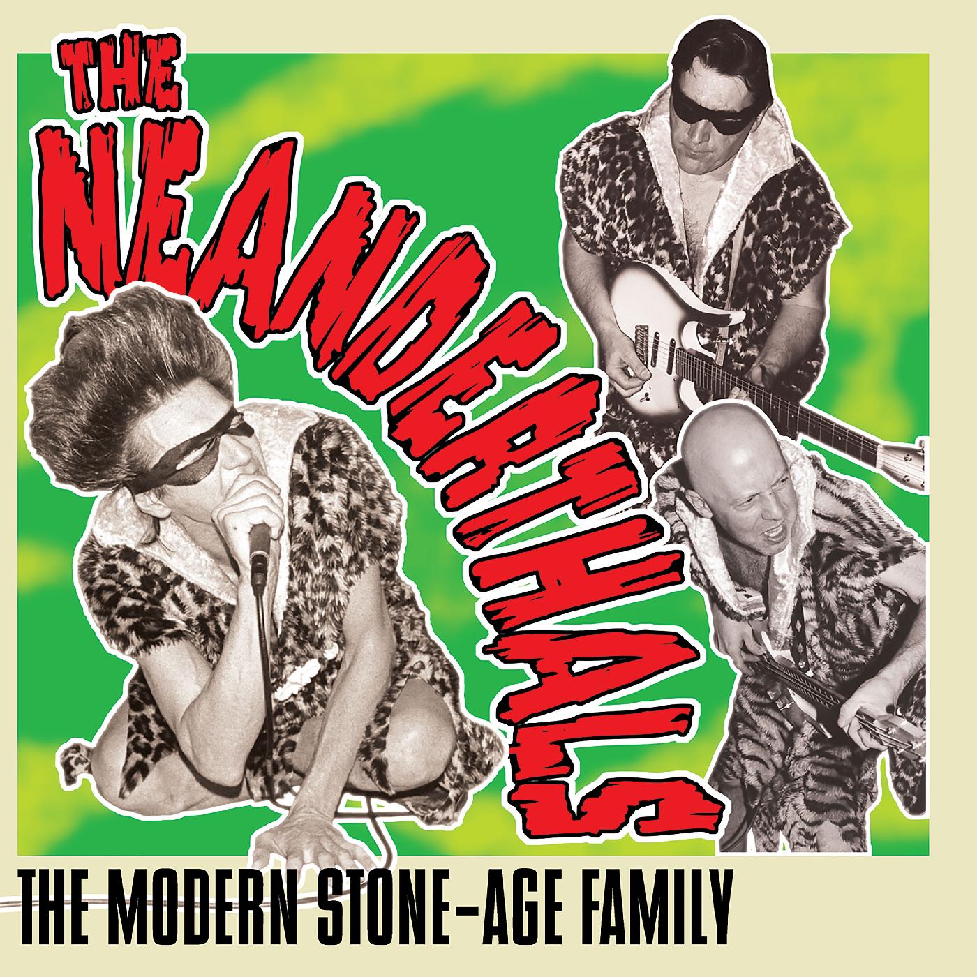 The Modern Stone-Age Family (GREY VINYL) [Vinyl] - Paladin Vinyl
