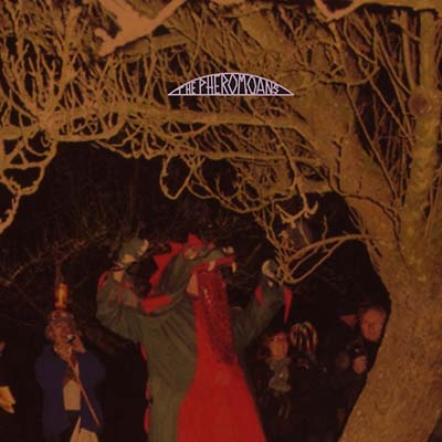 Does This Guy Stack Up? [CD]