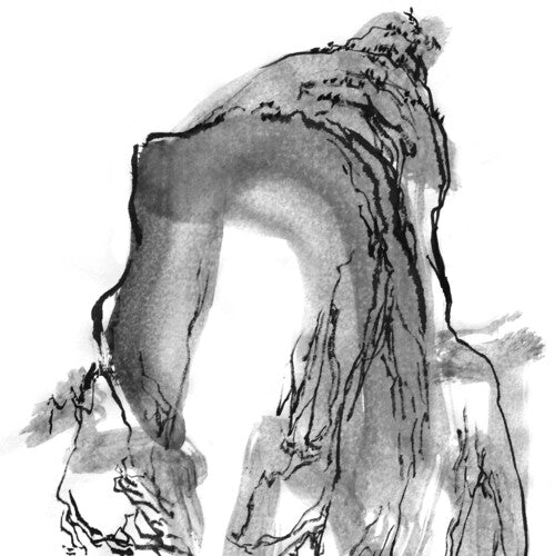 Jason Gay - The Present and the Past [Mist] [Vinyl]