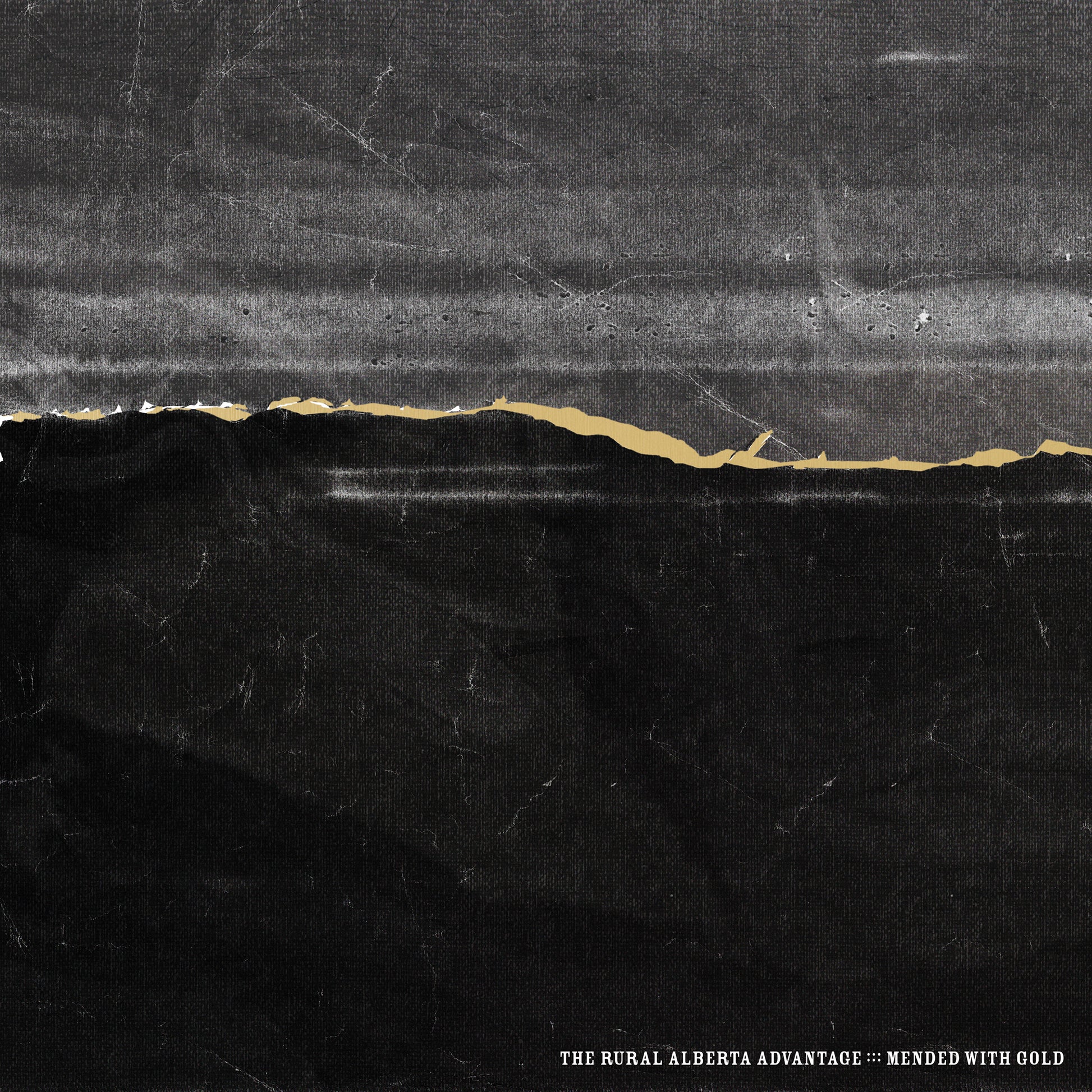 Mended With Gold [Vinyl]