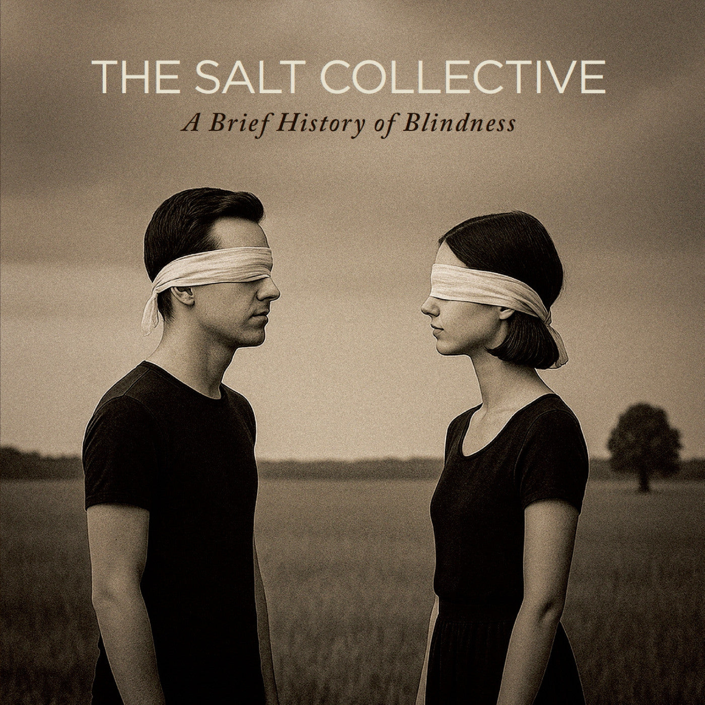 A Brief History Of Blindness [CD]