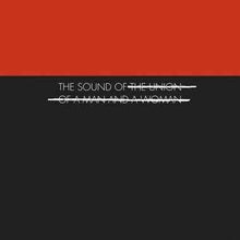 The Union of a Man and a Woman - The Sound of... [Vinyl]