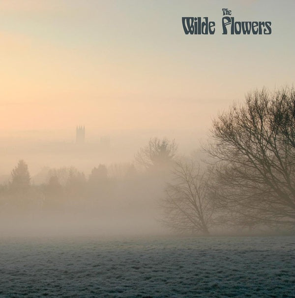 The Wilde Flowers [Vinyl]