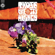 Esos bonitos errores - Esos bonitos errores/Zed para Zulu [CD]