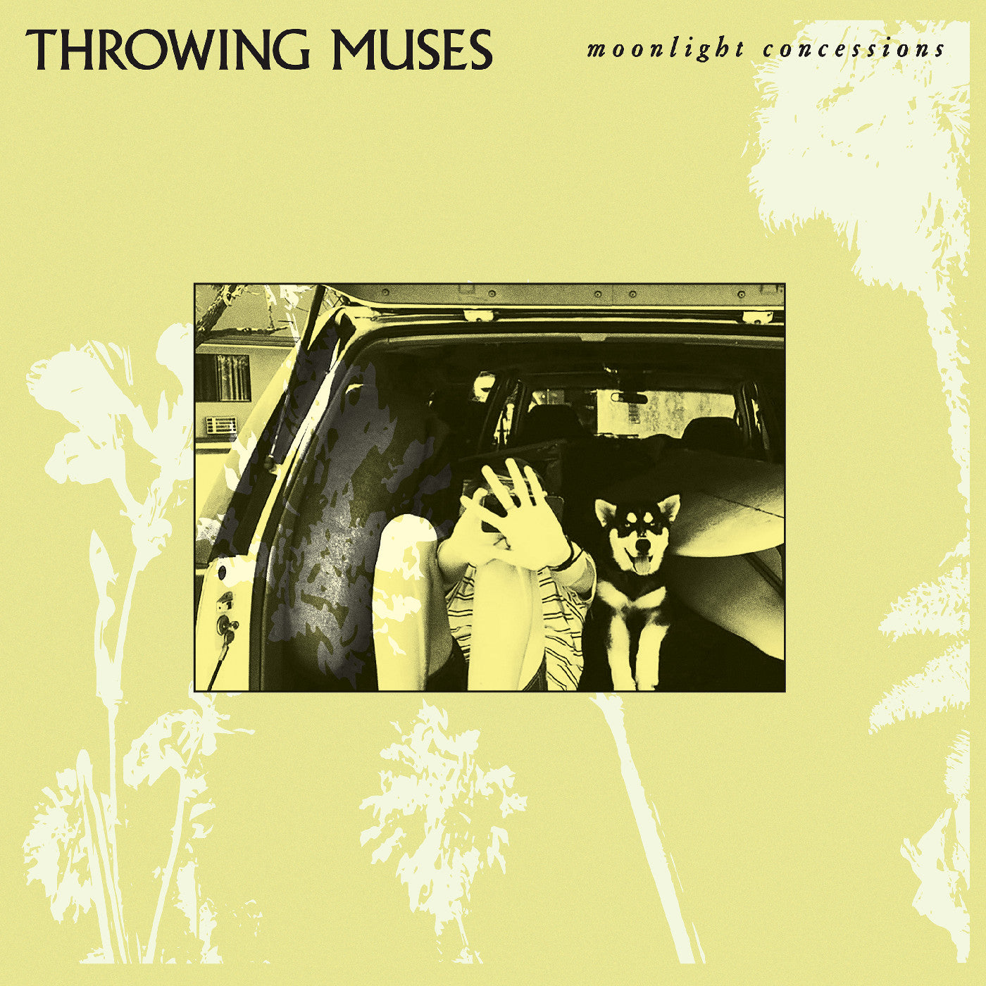 Moonlight Concessions (Cream Vinyl) [Vinyl]