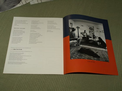 Natalie Merchant - Tigerlily (Mofi, 180g 45RPM 2LP) [Vinyl]