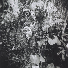 TIM MISLOCK - Now Is The Last Best Time [CD]