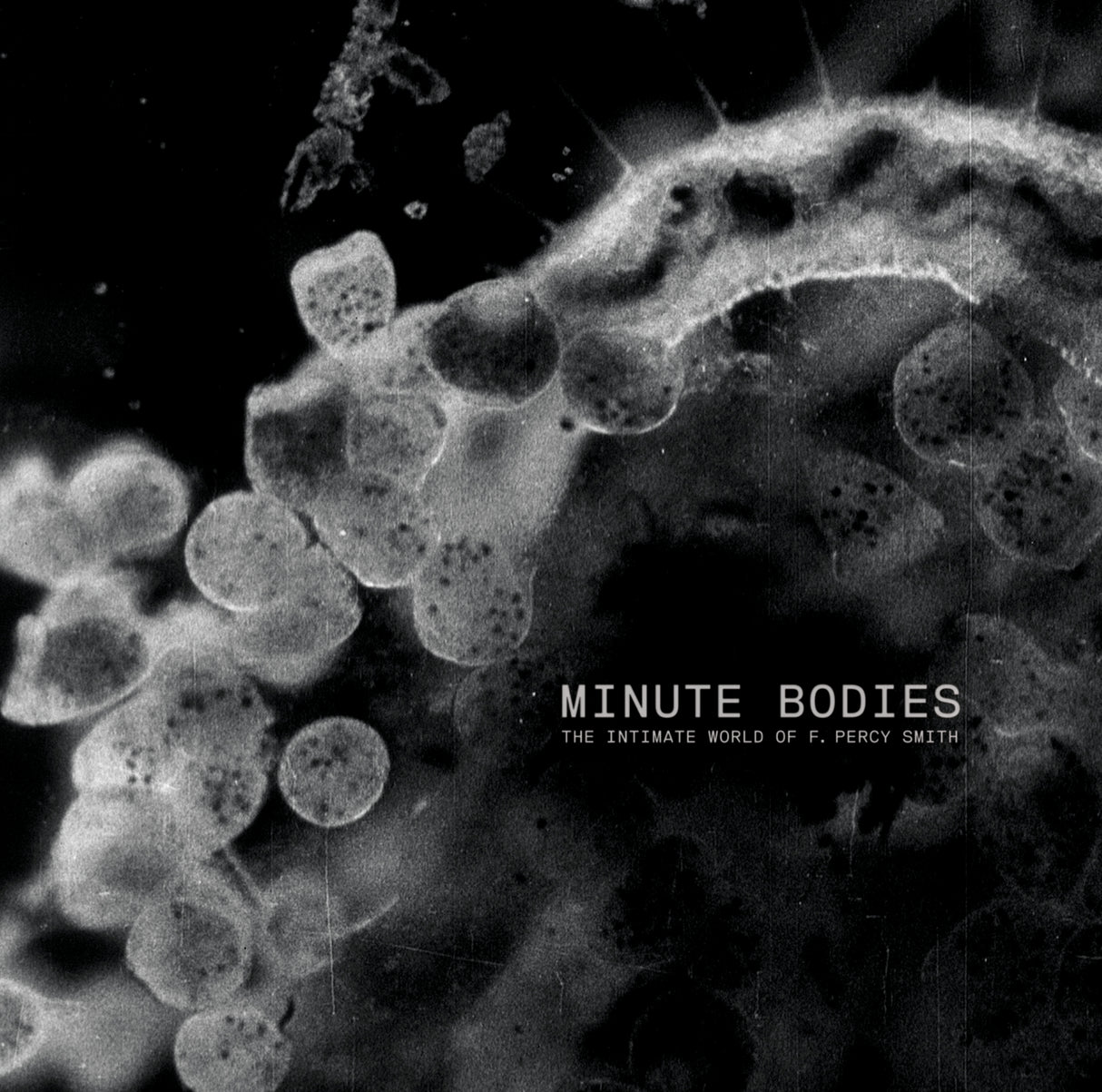 Tindersticks - Minute Bodies: The Intimate World of F. Percy Smith [CD]