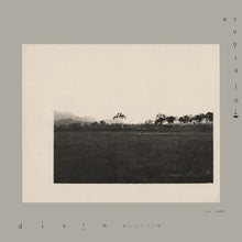 TOLERANCE - DIVIN [Vinyl]