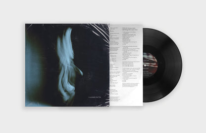 A Wonderful Life (Black Vinyl) [Vinyl]