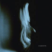 A Wonderful Life (Indie Exclusive) (Coke Bottle Clear Vinyl) [Vinyl]