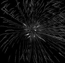 TOM THIEL - Album [Vinyl]