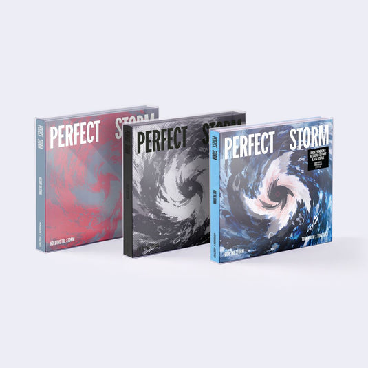 PERFECT STORM (HOLDING THE STORM Ver.) [CD] [CD]