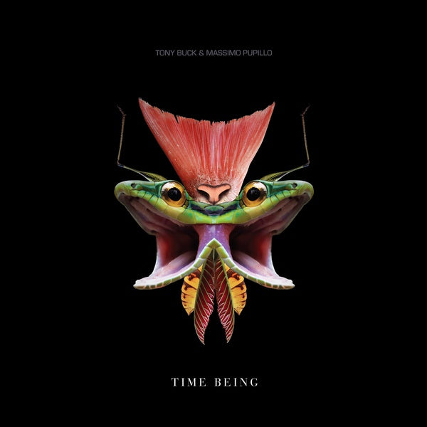 TONY BUCK & MASSIMO PUPILLO - Time Being [Vinyl]