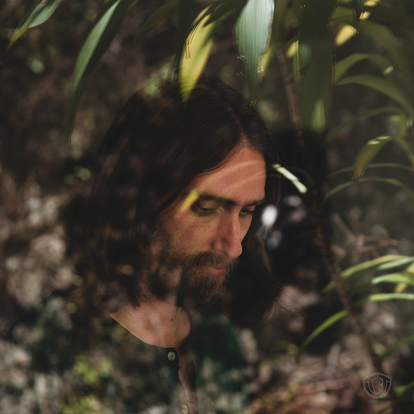 I Like It Here [Vinyl] - Paladin Vinyl