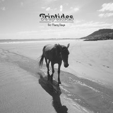 So many days [Vinyl] - Paladin Vinyl